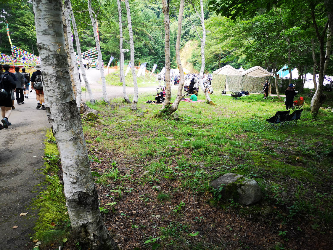 ところ天国手前、開拓されました。