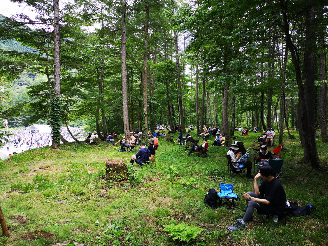 切り開かれたアバロンフィールド。