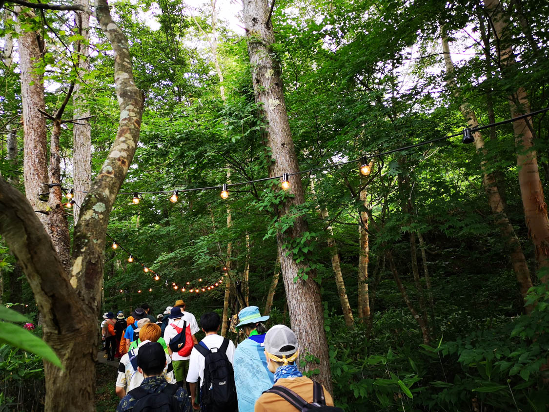 照明も一応あります。