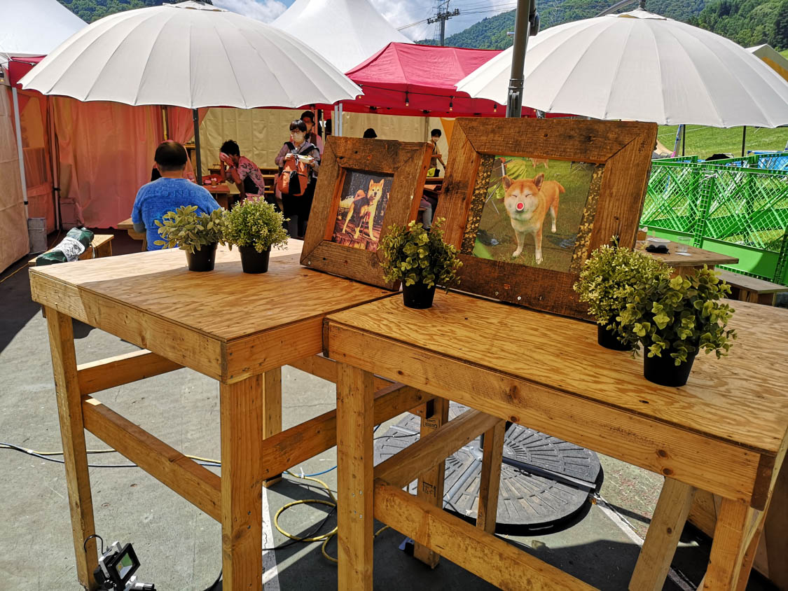 由来となった犬のどん吉。