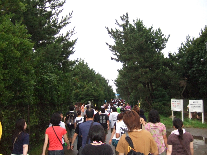 千葉マリンスタジアムからアイランド・ステージ、ビーチ・ステージに向かう道。アイランド・ステージは途中で左に入ります。