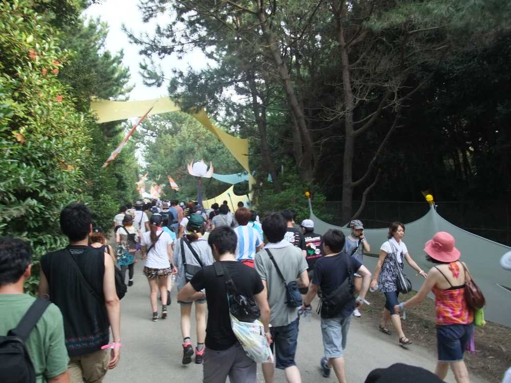 防風林の中に入ります。