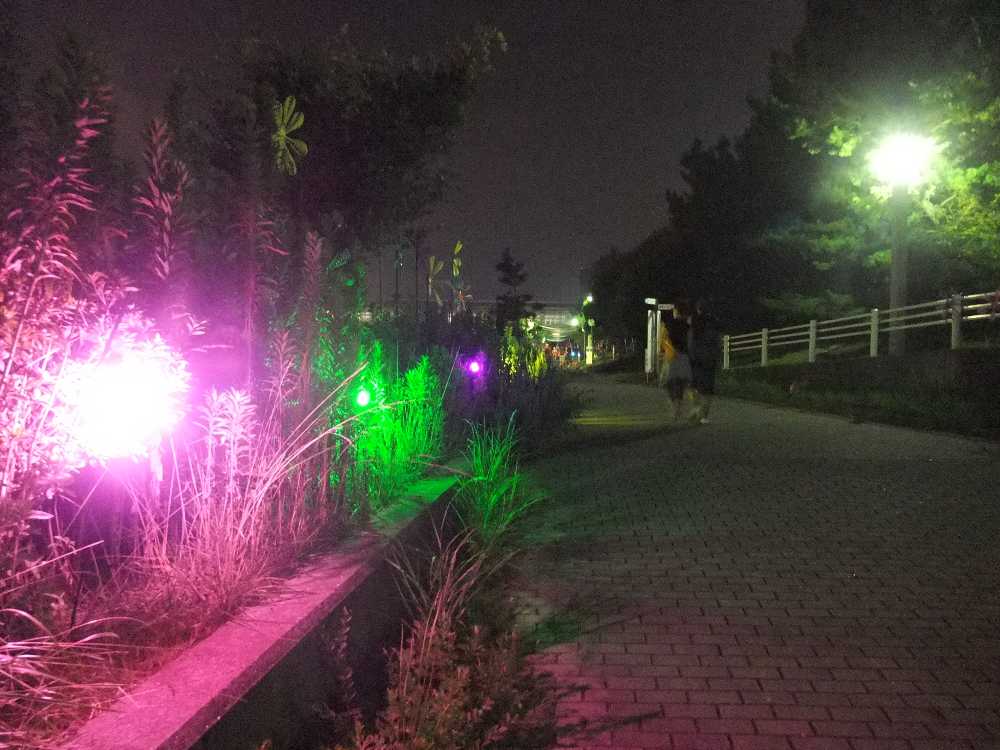 抜けたところ。