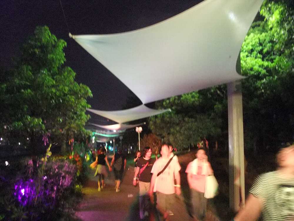 日よけとしても機能か。