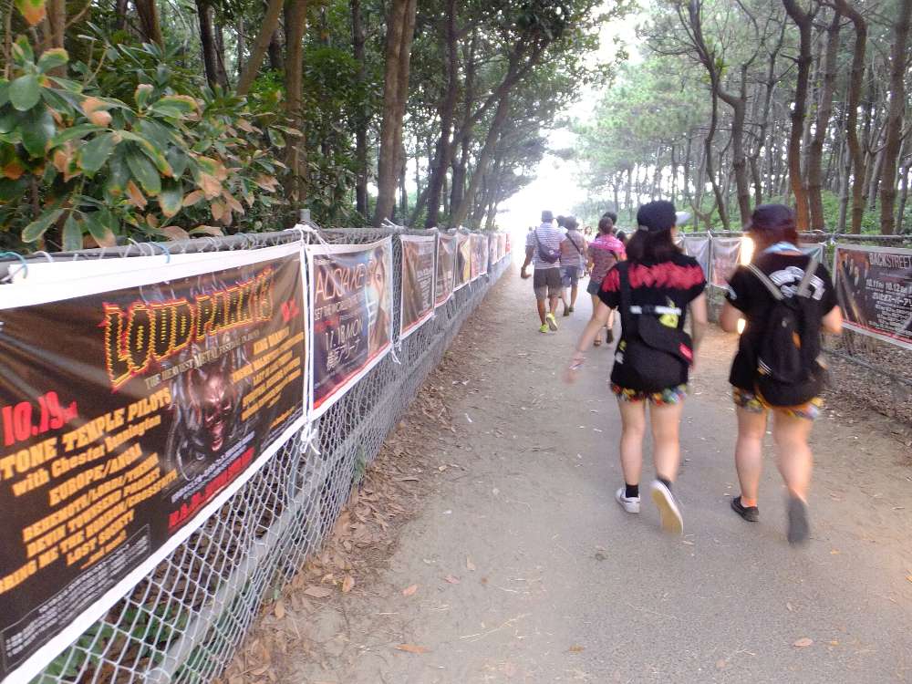 サマーソニック限定の告知。