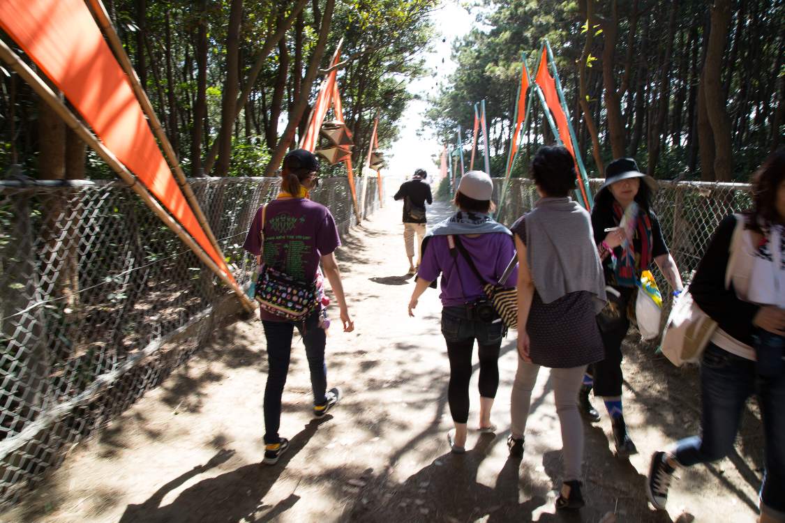 防風林を抜ける。