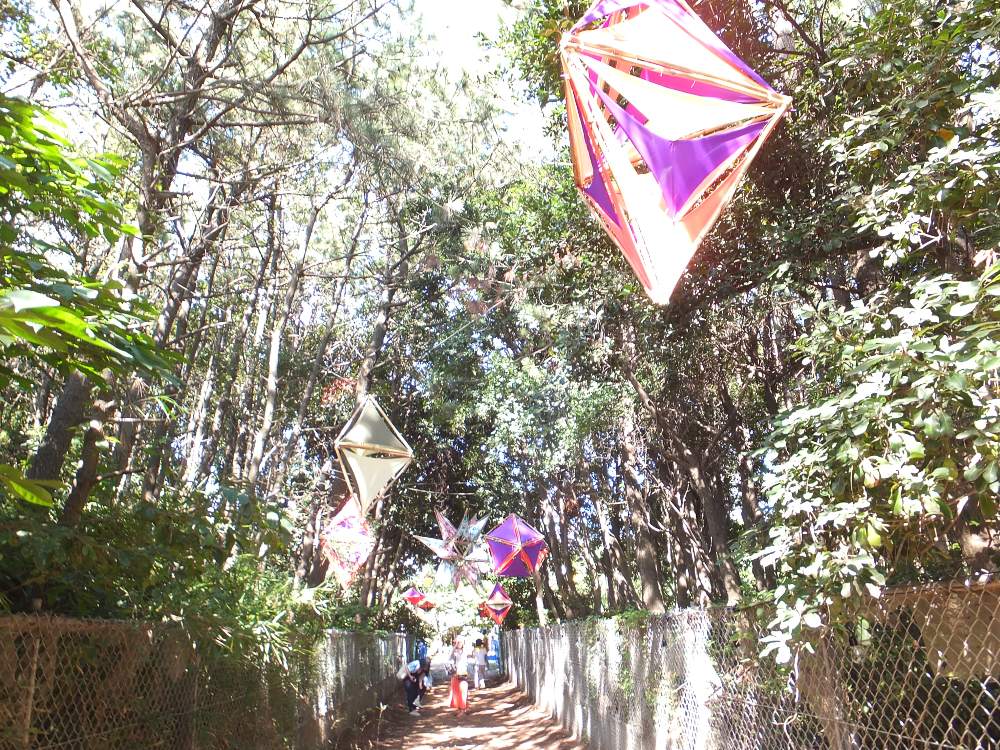 夜は照明になるとみられる。