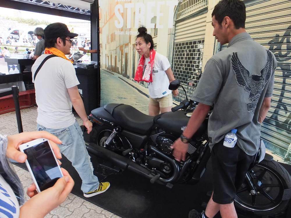 黒い実物を展示。