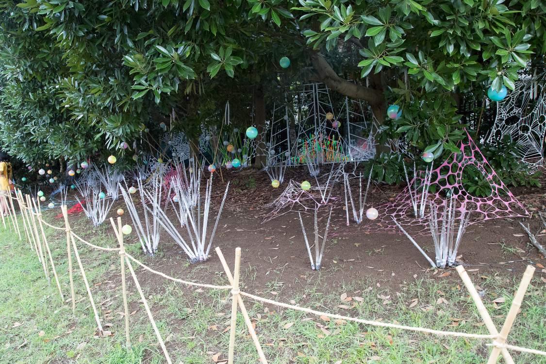 昨年もあった光る植物アート。