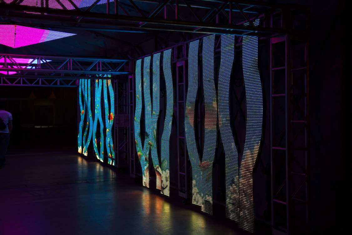 表示の仕組みは分かりませんが、魚が泳ぐ動画が表示されていました。