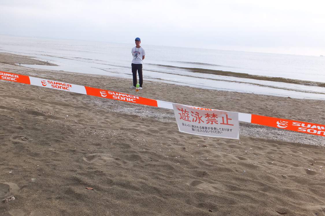 今回は打ち際まで行けなくなりました。