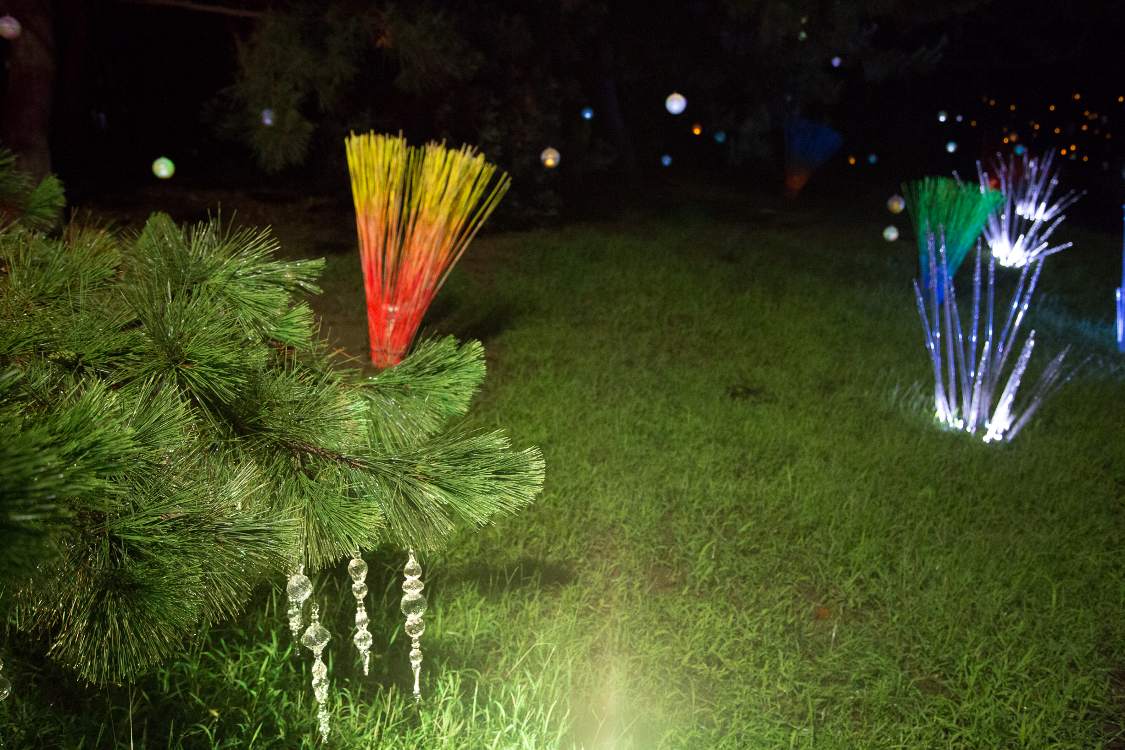 作品写真その6。