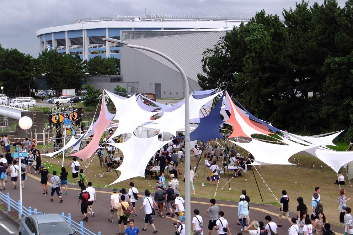 グリーンフィールドの全景。