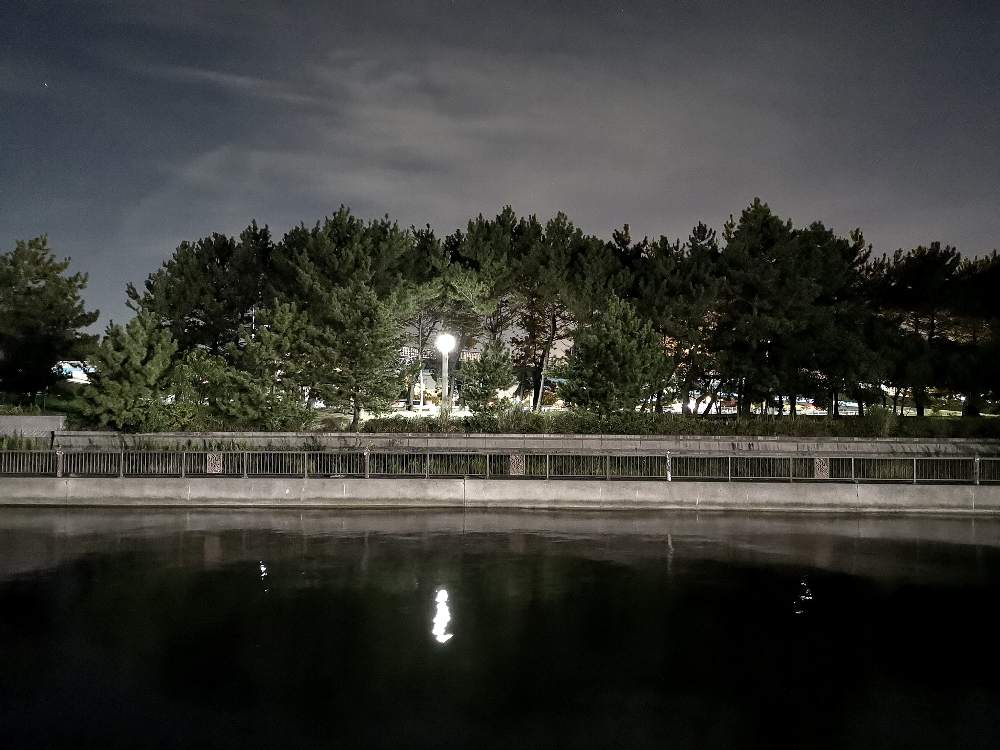 例年装飾される北側の通路は装飾がありませんでした。