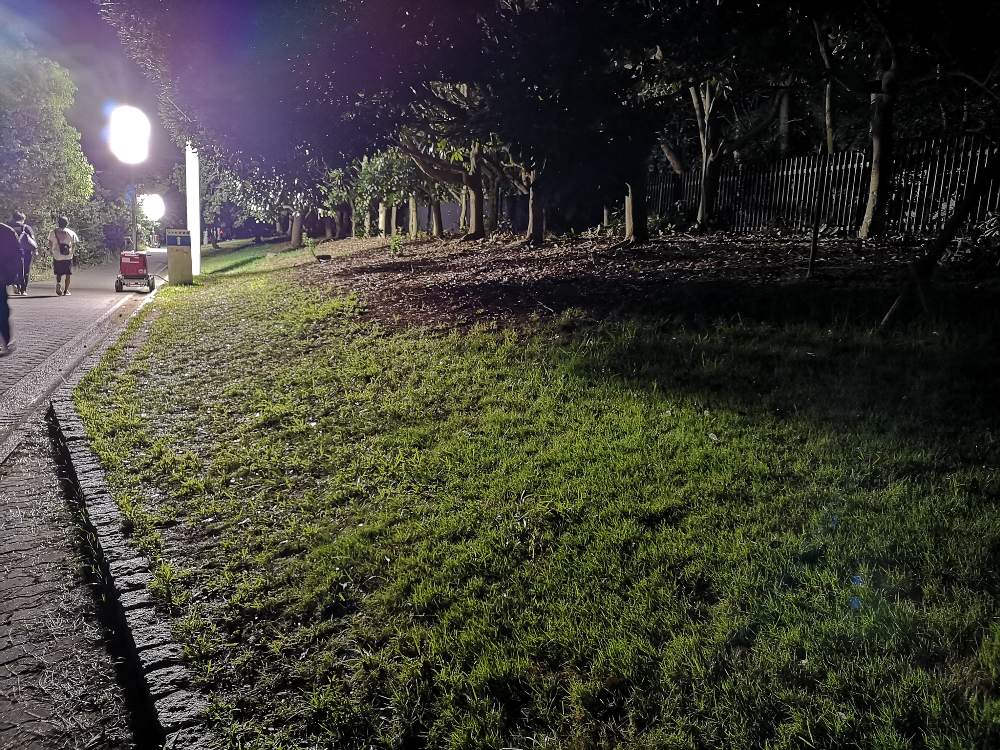 並木の部分も今回はソニッカートなし。