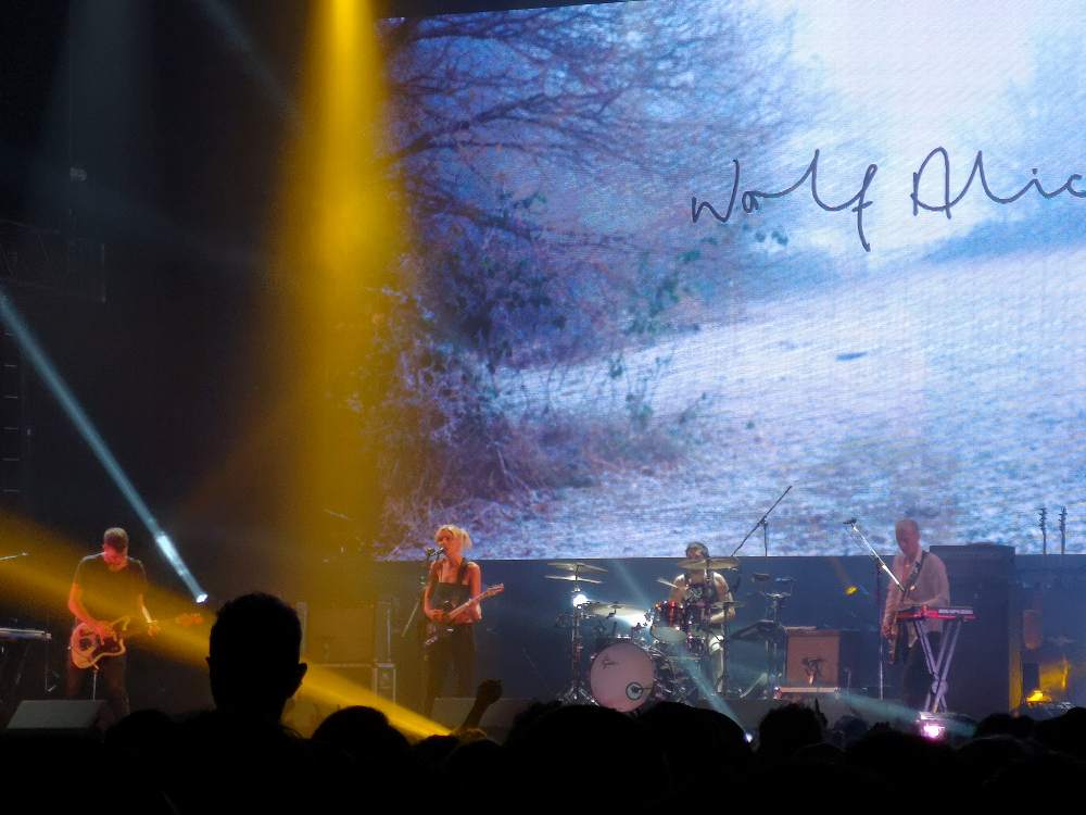 ミッドナイトソニックのウルフ・アリス。