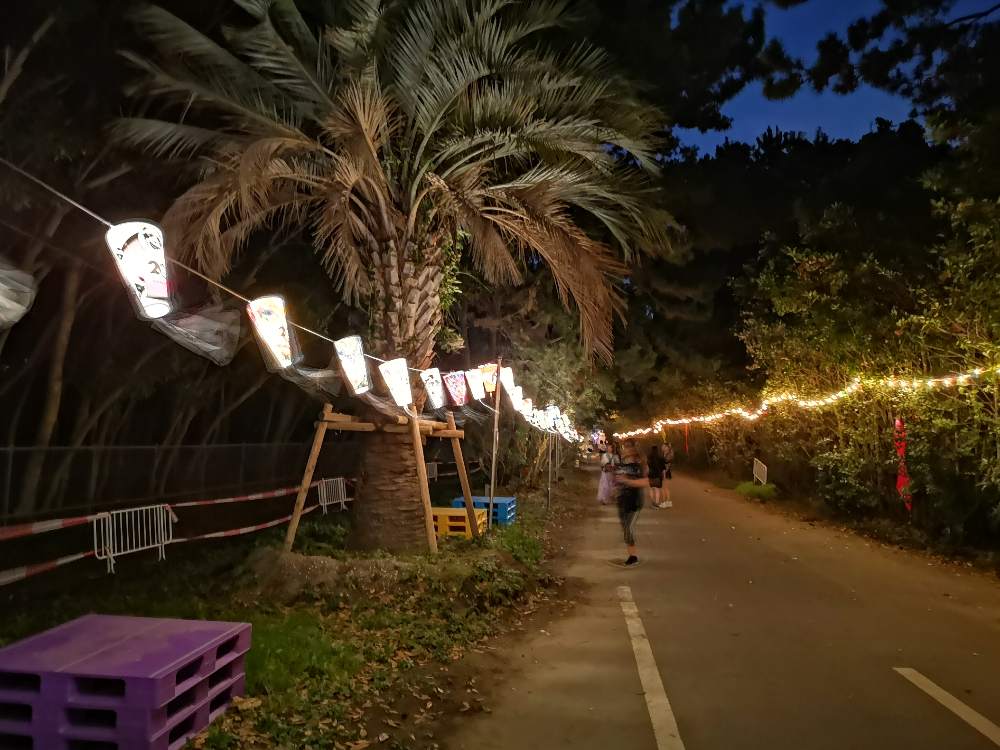 風は強めでした。