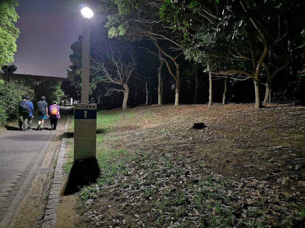 かつて立体芸術があった場所。2019年は移動。