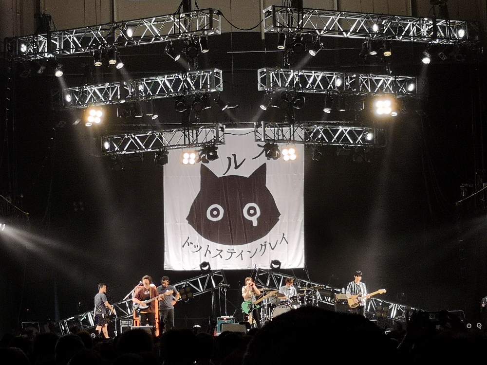 ポルカドットスティングレイ。