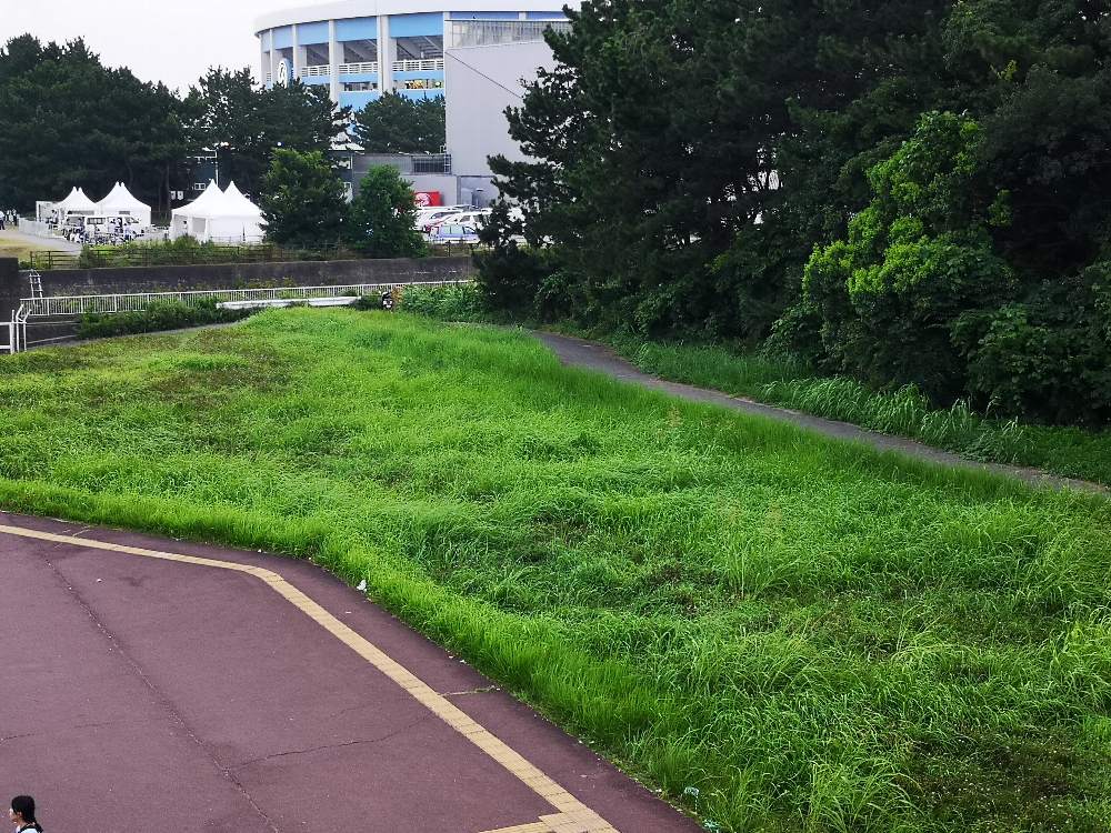 サマーソニックとは別の小さなステージがあった場所も2019年はなし。